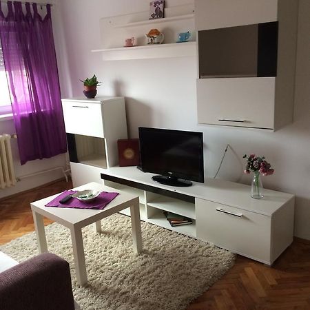 Tami Apartment Novi Sad Exterior foto