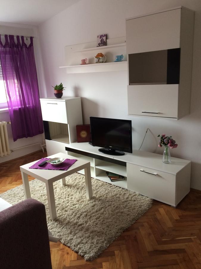 Tami Apartment Novi Sad Exterior foto
